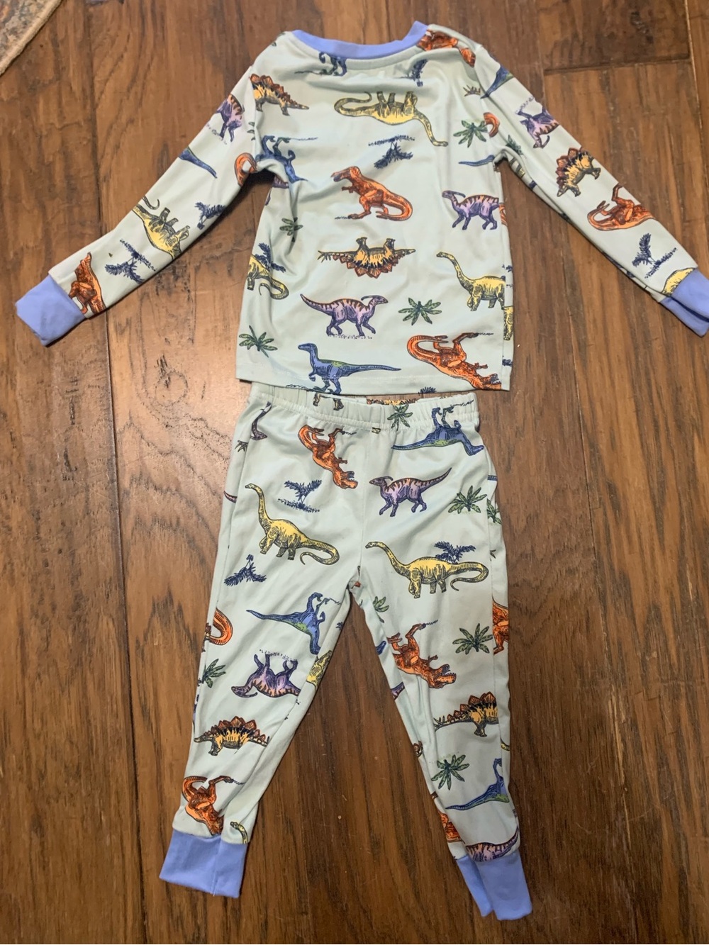 Tahari Kids Dinosaur Pajama Set - Light Mint with Blue Trim